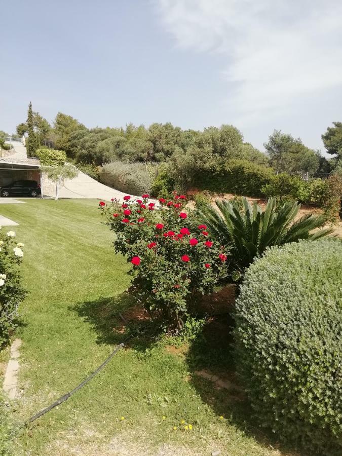 Hotel Dimitra à Rafína Extérieur photo