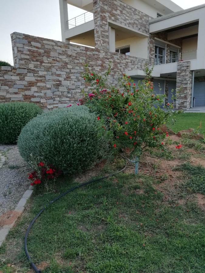 Hotel Dimitra à Rafína Extérieur photo
