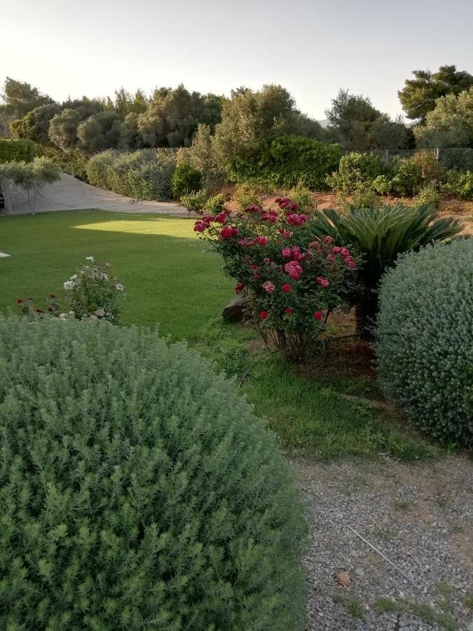 Hotel Dimitra à Rafína Extérieur photo